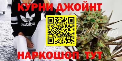 дживик Аргун