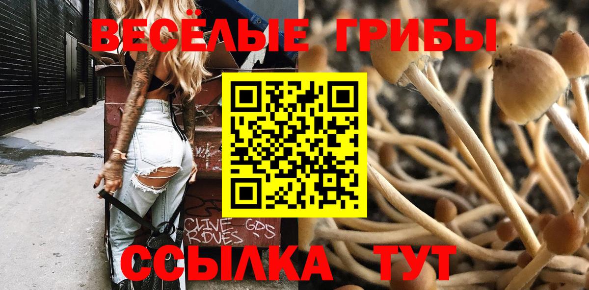 Галлюциногенные грибы Psilocybine cubensis  Вход с VPN  Белово 